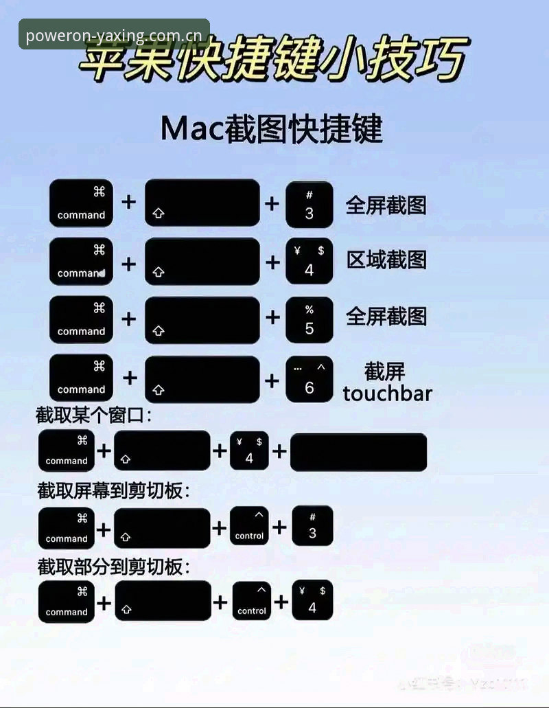 新版苹果入口适配指南：基因级体验的五个实用要点